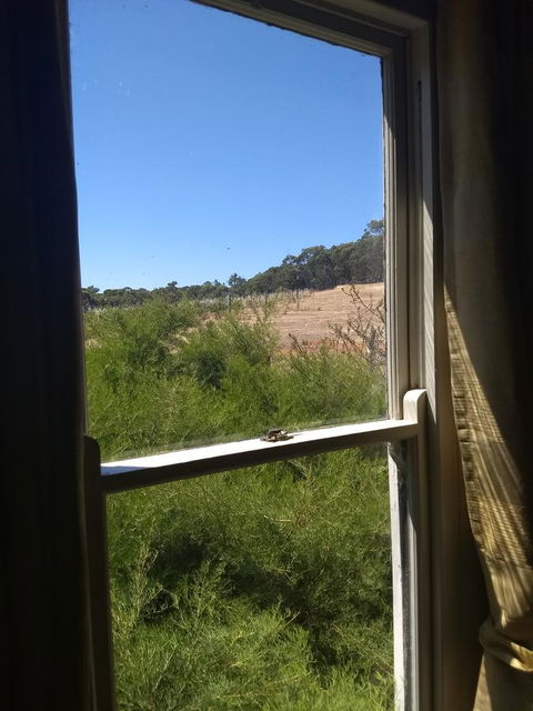Hotham Ridge Estate - Accommodation Nelson Bay 8