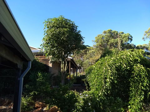Hotham Ridge Estate - Accommodation Nelson Bay 5