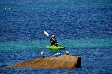 Sandpiper Retreat - Accommodation Nelson Bay 29