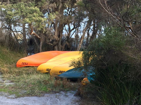 Riverside Retreat Chalets, Walpole - Nelsons Bay Accommodation 20
