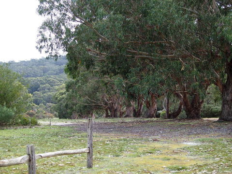 Riverside Retreat Chalets, Walpole - Nelsons Bay Accommodation 17