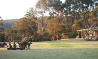 Book Walpole Accommodation Vacations Nelsons Bay Accommodation Nelsons Bay Accommodation