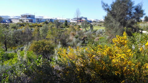 Alkimos Beach Cottage - Accommodation Nelson Bay 3