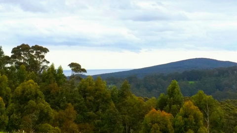 Karri Aura - Accommodation Nelson Bay 10