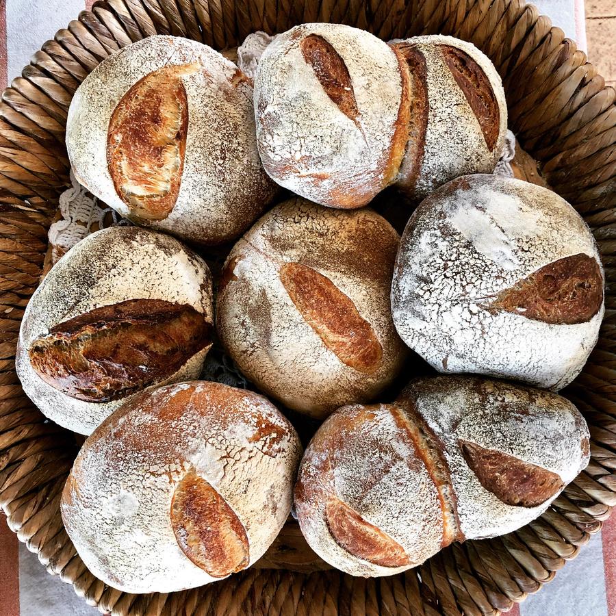 Dayton WA Accommodation Nelson Bay