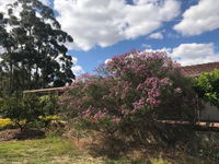 Book Cockburn Central Accommodation Vacations Nelsons Bay Accommodation Nelsons Bay Accommodation