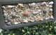 Beach House At SeaScapes.. - thumb 27