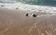 Beach House At SeaScapes.. - thumb 30