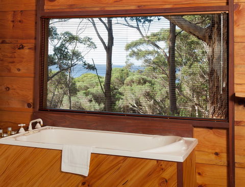 Pelicans At Denmark - Accommodation Nelson Bay 10