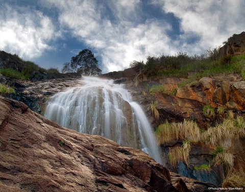 Banksia Tourist Park - Accommodation Nelson Bay 17