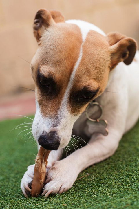 Banksia Tourist Park - Accommodation Nelson Bay 18