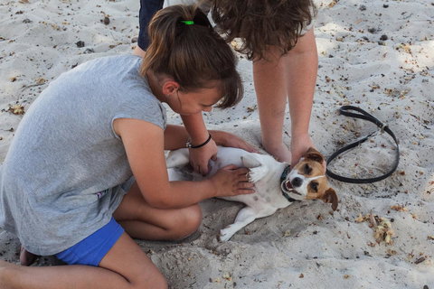 Banksia Tourist Park - Accommodation Nelson Bay 27