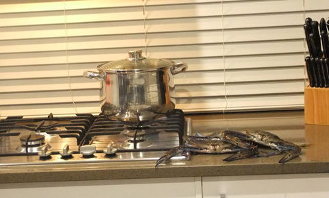 South Yunderup Holiday Rental - Accommodation Nelson Bay 12