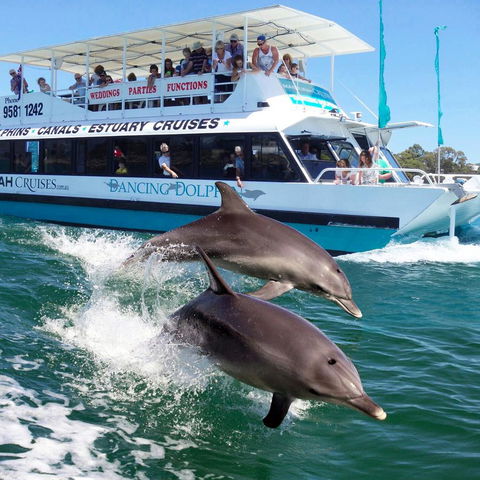 Mandurah Coastal Holiday Park - Accommodation Nelson Bay 0