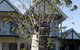 Freshwater East Kimberley Apartments - thumb 18