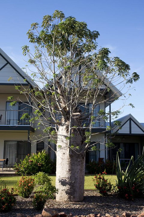 Freshwater East Kimberley Apartments - Accommodation Nelson Bay 18