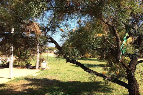 Ocean View Homestead - Accommodation Nelson Bay 23