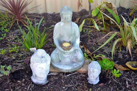 Palms Bed & Breakfast - Nelsons Bay Accommodation 22