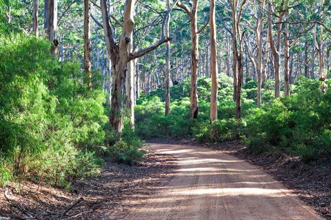 Margaret River Retreat - Accommodation Nelson Bay 20