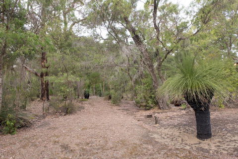 53 Martina Drive - Accommodation Nelson Bay 30