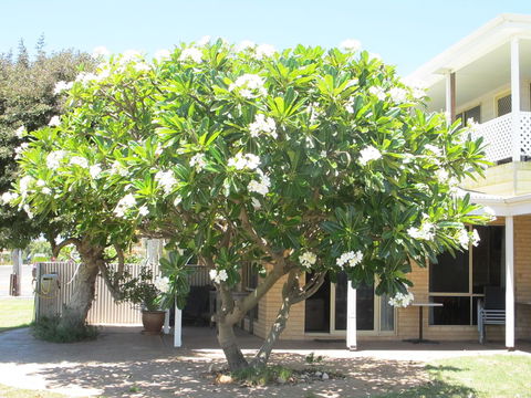 Kalbarri Riverfront Unit - Accommodation Nelson Bay 6