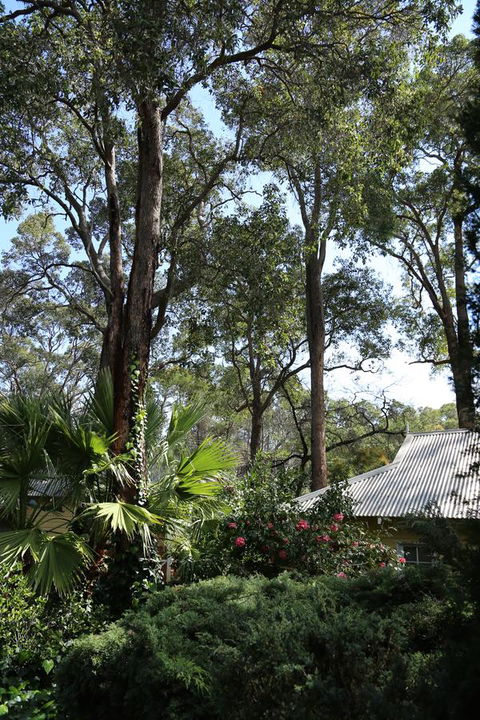 Two Sisters Chalets - Accommodation Nelson Bay 33