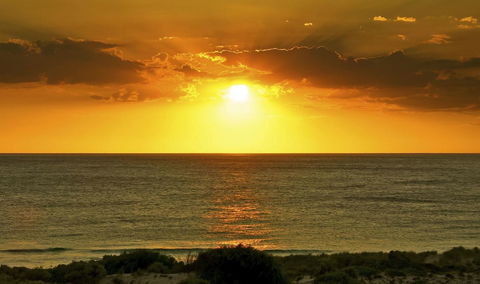 Scarborough & Absolutely Beachfront - Accommodation Nelson Bay 3