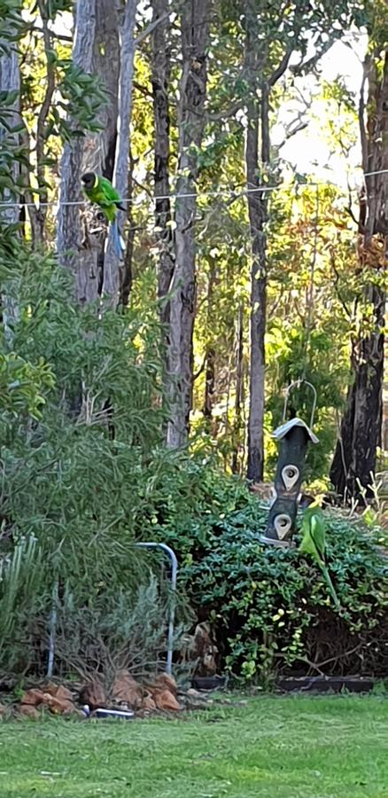 Di's Cabin In Dwellingup - Nelsons Bay Accommodation 6
