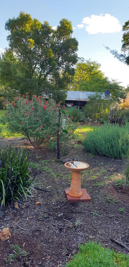 Di's Cabin In Dwellingup - Nelsons Bay Accommodation 14
