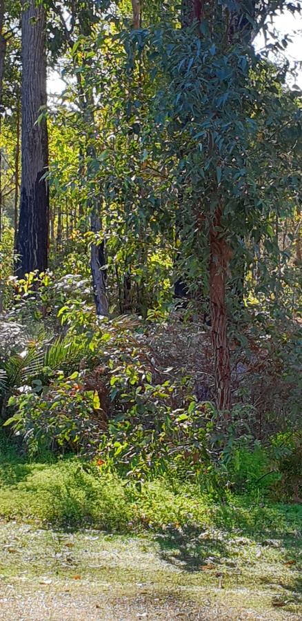 Di's Cabin In Dwellingup - Nelsons Bay Accommodation 8