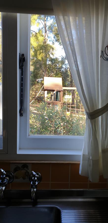 Di's Cabin In Dwellingup - Nelsons Bay Accommodation 15