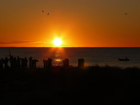 Jurien Bay Tourist Park - Accommodation Nelson Bay 28