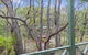 Gracetown Caravan Park - thumb 12