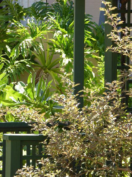 Kalbarri Beach Resort - Accommodation Nelson Bay 32
