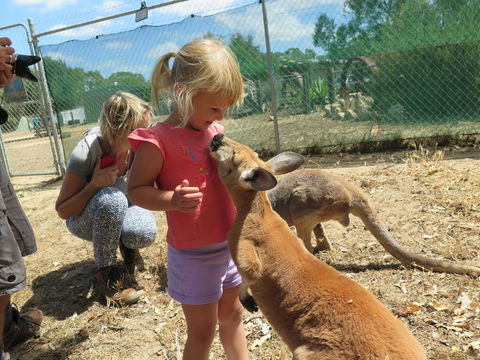 Jurien Beachfront Holiday Units - Accommodation Nelson Bay 36