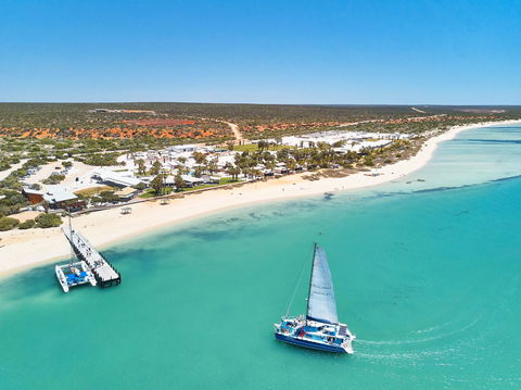 RAC Monkey Mia Dolphin Resort - Accommodation Nelson Bay 44