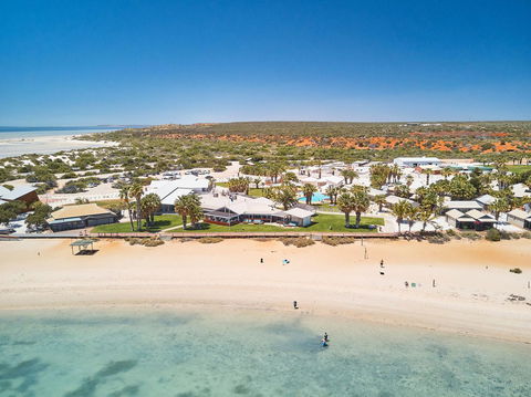 RAC Monkey Mia Dolphin Resort - Accommodation Nelson Bay 42
