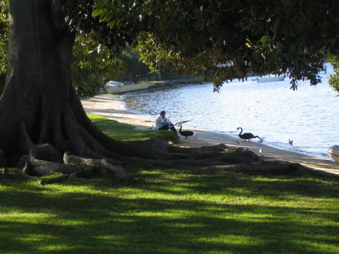 Garden Studio In Cottesloe - Accommodation Nelson Bay 11