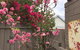 Garden Studio In Cottesloe - thumb 10