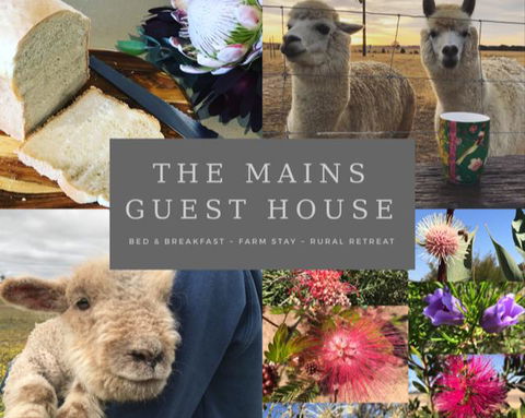 The Mains Guest House 2 Bedroom Farm Stay - Accommodation Nelson Bay 0