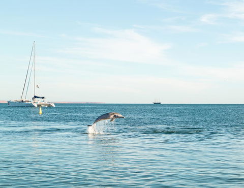 Wildsights Villas - Accommodation Nelson Bay 11