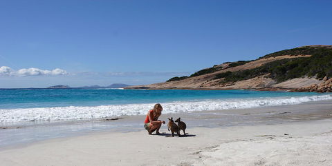Esperance YHA - Accommodation Nelson Bay 19
