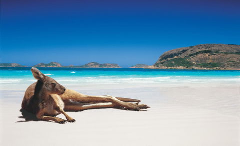 Esperance YHA - Accommodation Nelson Bay 14