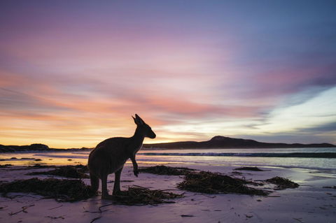 Esperance YHA - Accommodation Nelson Bay 20