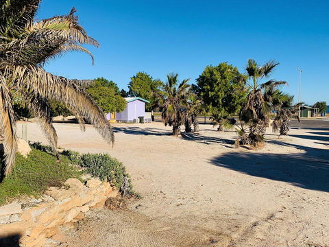 Shark Bay Cottages - Nelsons Bay Accommodation 12