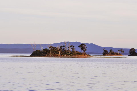 Smugglers Rest Apartments Dover - Accommodation Nelson Bay 5