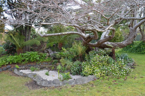 Smugglers Rest Apartments Dover - Accommodation Nelson Bay 22