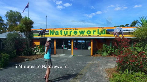 Bicheno Cabin Park - Accommodation Nelson Bay 6