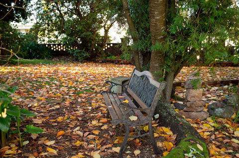 Anabel\'s Of Scottsdale - Accommodation Nelson Bay 38