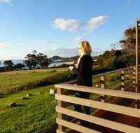 Beachend Bicheno - Accommodation Nelson Bay